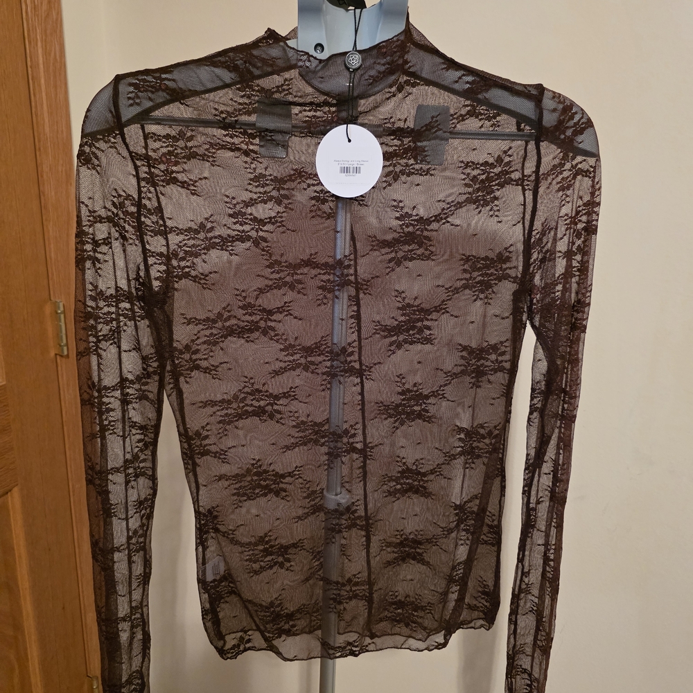 Elegant Brown Lace Sheer Top